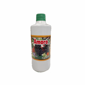 AMORA PET 500ML