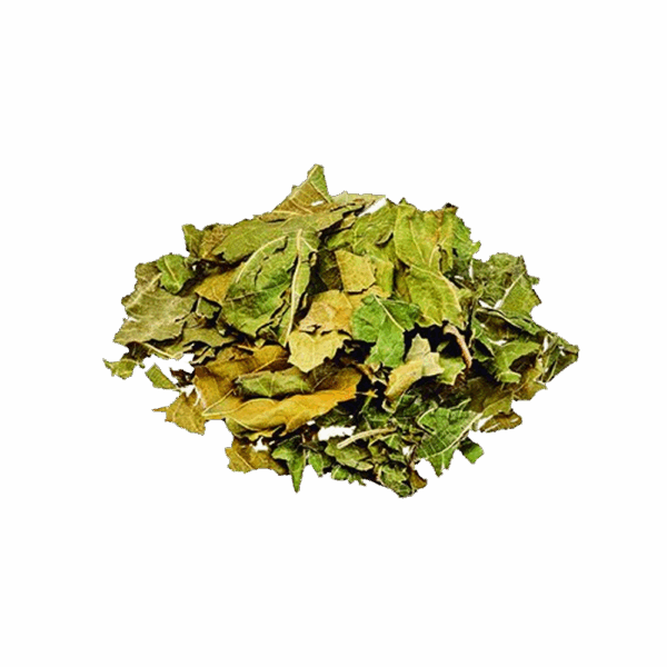 AMORA MIÚRA - Imagem 1