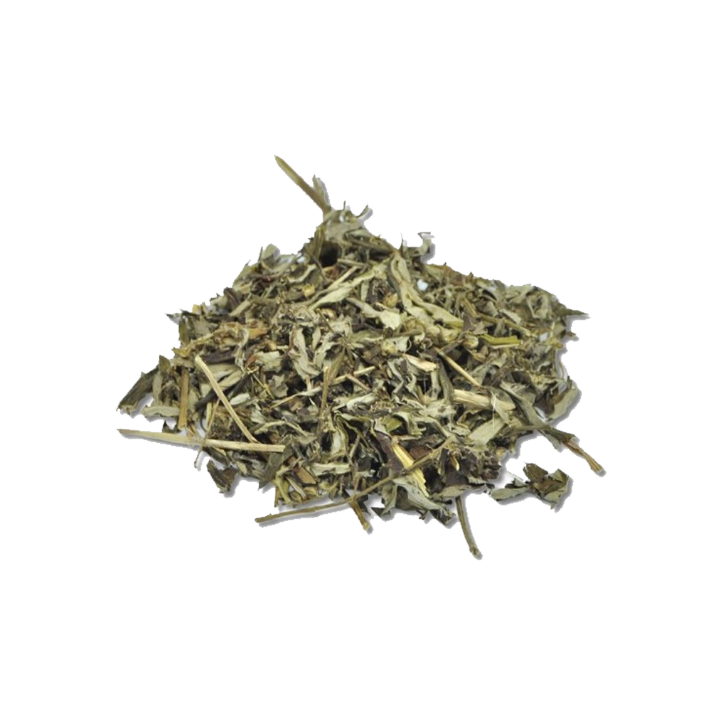 artemisia.png ARTEMÍSIA - Imagem 1