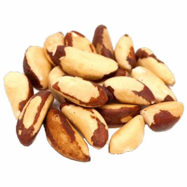 CASTANHA DO PARA - Imagem 1