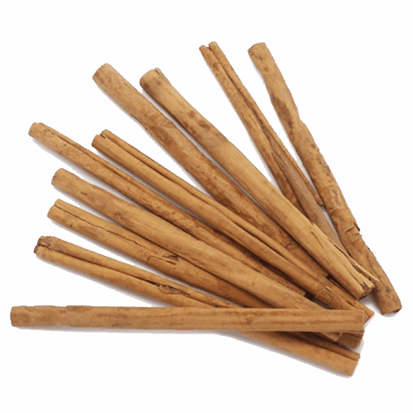 CANELA CASCA 50 CM - Imagem 1