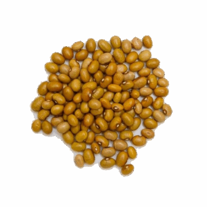 FEIJÃO BOLA