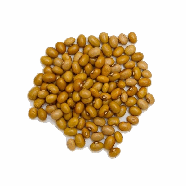 FEIJÃO BOLA - Imagem 1