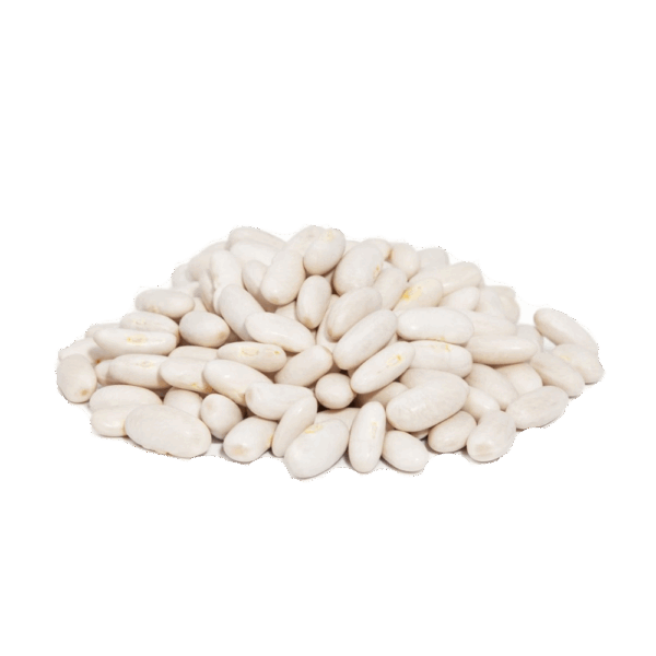 FEIJÃO BRANCO - Imagem 1