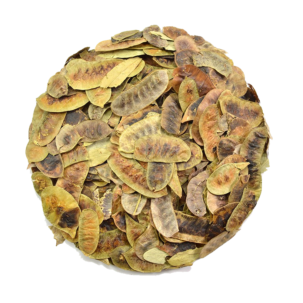 foliculo-de-sene.png FOLÍCULOS DE SENE - Imagem 1