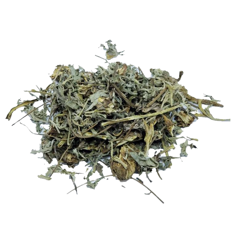 losna.png LOSNA - Imagem 1