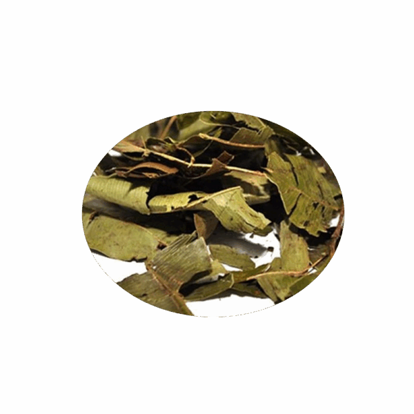 MANGABA FOLHAS - Imagem 1