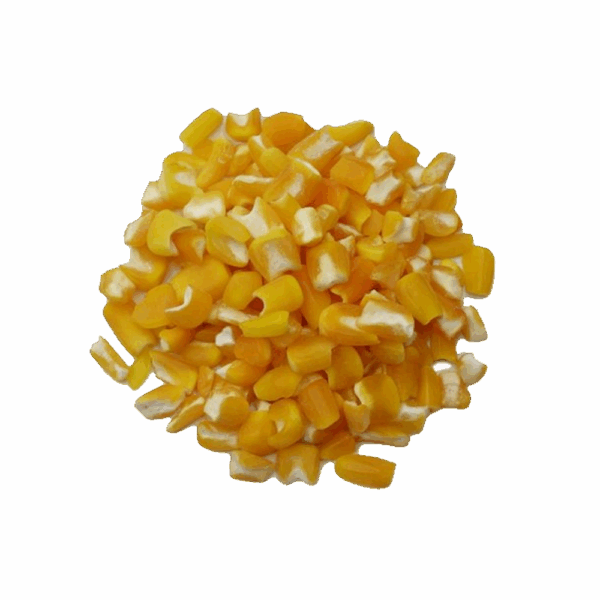 MILHO CANJICA AMARELA - Imagem 1