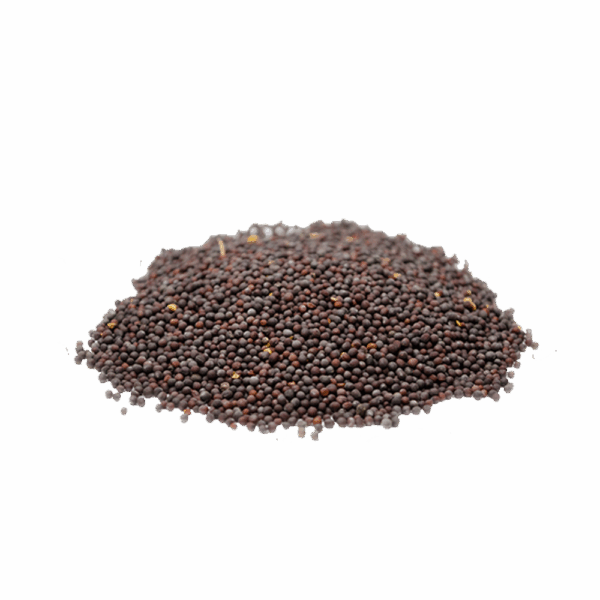 MOSTARDA PRETA GRÃO - Imagem 1