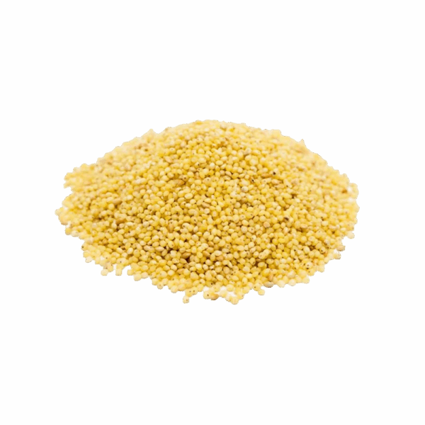 PAINÇO SEM CASCA - Imagem 1