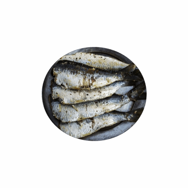 SARDINHA SALGADA - Imagem 1