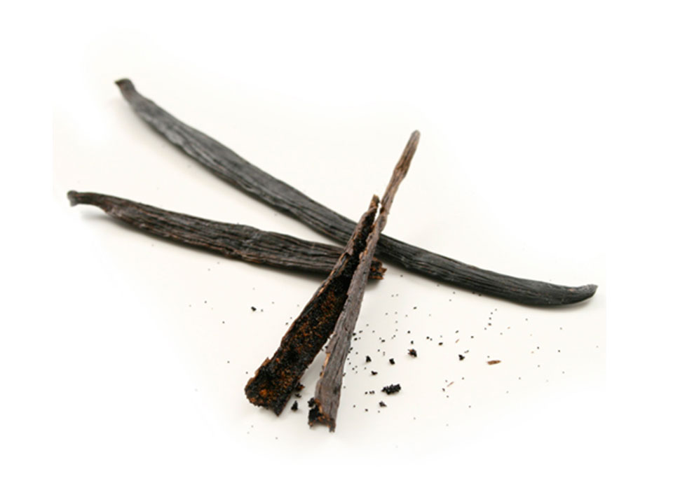 vagem_baunilha.jpg FAVA BAUNILHA - Imagem 1